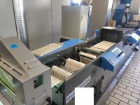 GALLUS TCS 250 Macchina da stampa flexo per etichette